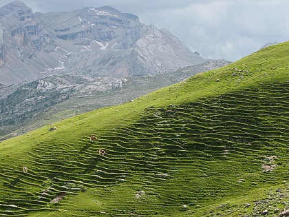 Landschaft in Südtirol